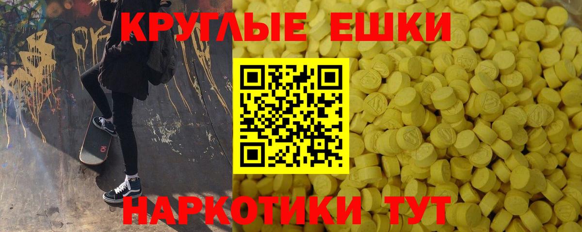 Ecstasy Philipp Plein Майкоп