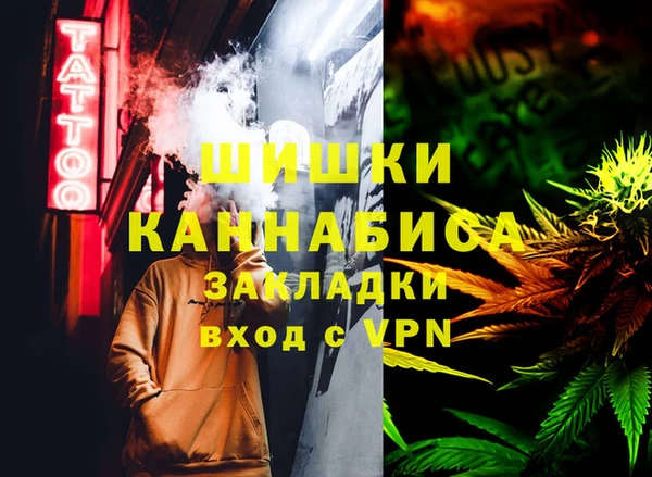 тгк Новозыбков