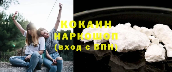 шишки Новокубанск