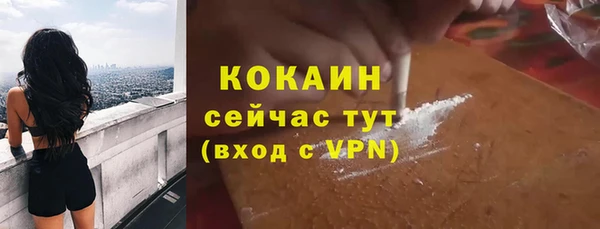 шишки Новокубанск