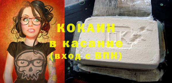 тгк Новозыбков