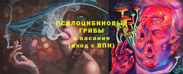 шишки Новокубанск