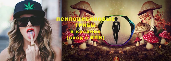 шишки Новокубанск