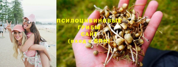 тгк Новозыбков