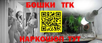 индика Абакан