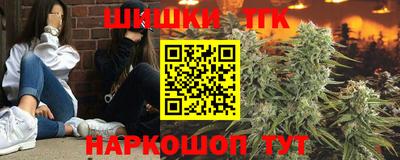 индика Абакан