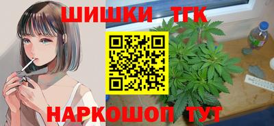индика Абакан