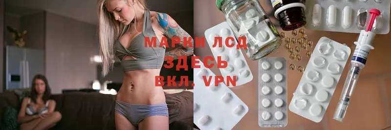 ЛСД экстази ecstasy  blacksprut ONION  Майкоп 