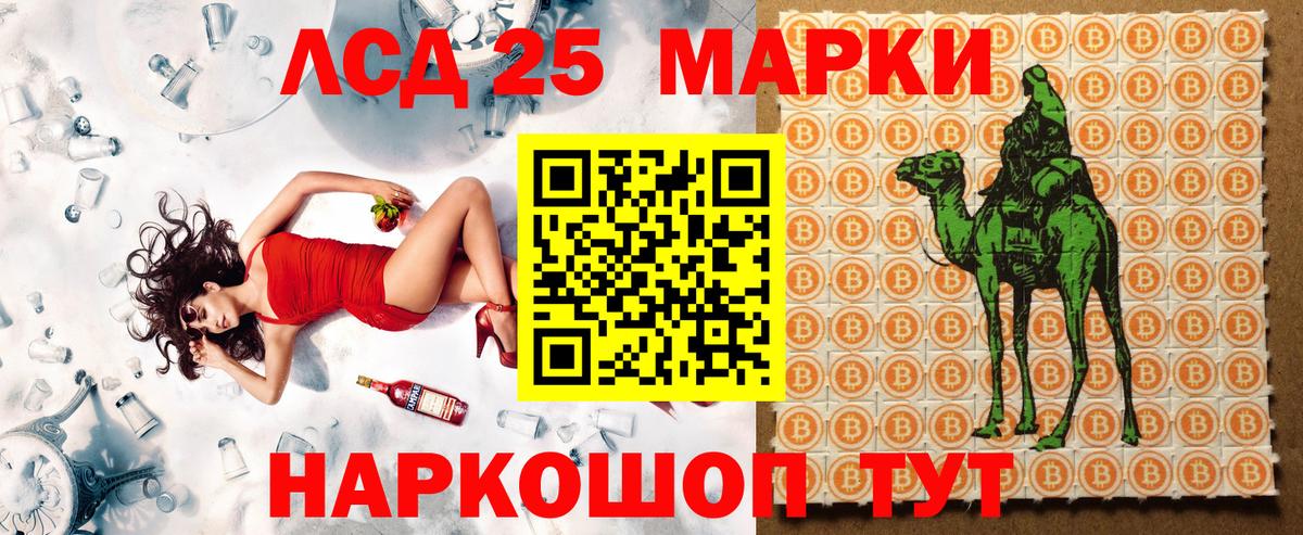 как найти наркотики  Вход с VPN  Майкоп  Наркотические марки 1500мкг  Наркотические марки 1500мкг 