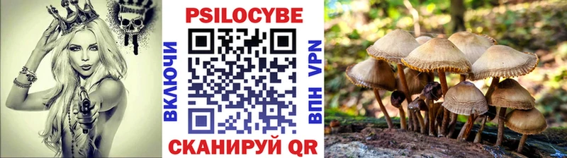 хочу   Майкоп  shop какой сайт  Псилоцибиновые грибы мухоморы 